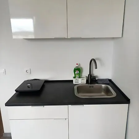 Renovated For Four Apartment Ljubljana
