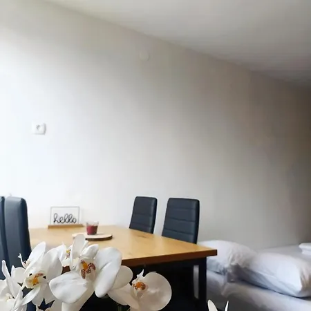 Apartment Renovated For Four