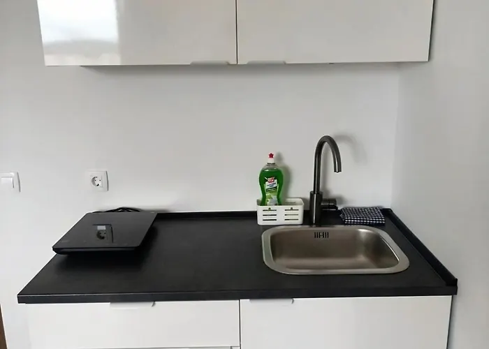 Renovated For Four شقة ليوبليانا